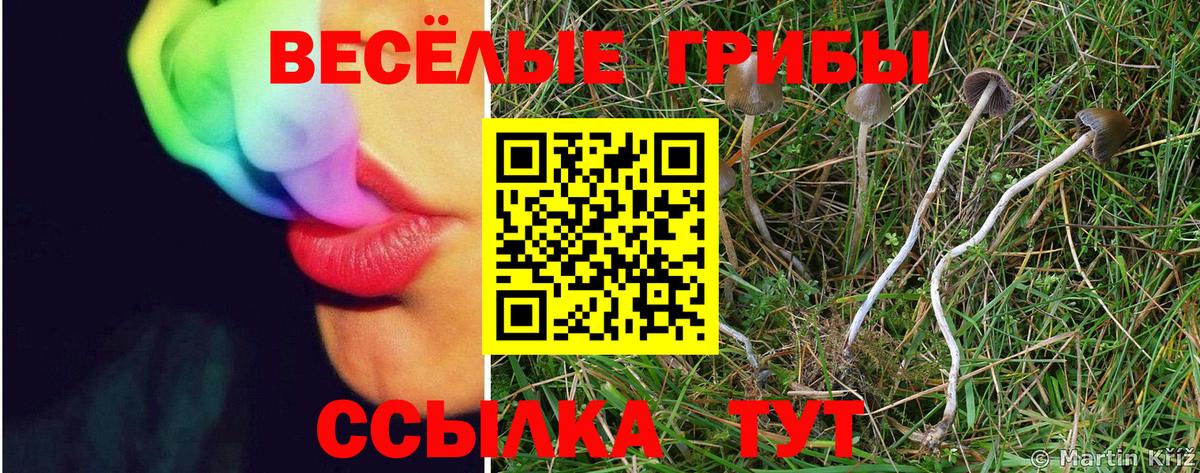 Новочеркасск  COCAIN  НБОМе  Меф   A PVP СК   Вход с VPN  Продажа наркотиков  Гашиш 