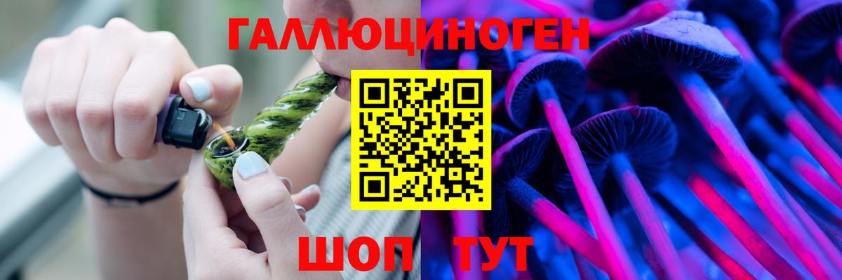 Псилоцибиновые грибы Psilocybine cubensis Новочеркасск